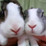 テンさんのプロフィール画像