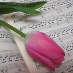 りぃ@さんのプロフィール画像