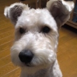 さわこさんのプロフィール画像