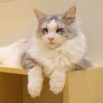 boofさんのプロフィール画像