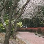 上田　育果さんのプロフィール画像