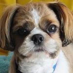 kakoさんのプロフィール画像