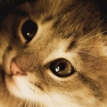 りなさんのプロフィール画像