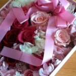 きなこきなしたさんのプロフィール画像