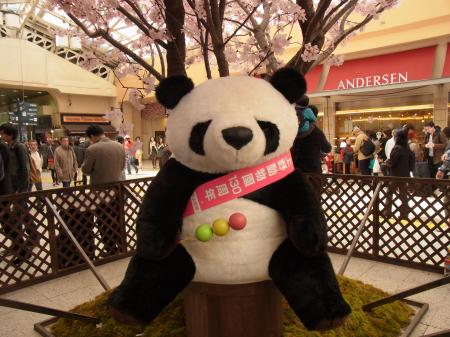 らっきーすたー