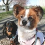 dac*un*1*90さんのプロフィール画像