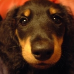 misaco.さんのプロフィール画像