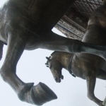 EMUさんのプロフィール画像