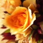 かすいさんのプロフィール画像