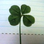 拓実☆さんのプロフィール画像