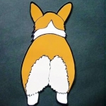 まるこぎさんのプロフィール画像