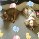 ジュリーさんのプロフィール画像