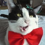 うしくんさんのプロフィール画像