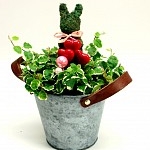 rinaさんのプロフィール画像