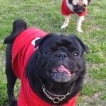 ひめママさんのプロフィール画像