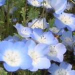 みそさんのプロフィール画像