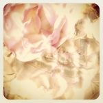 kimikomichiさんのプロフィール画像