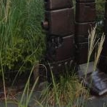 ふくもにさんのプロフィール画像