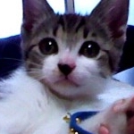 ぱにゅさんのプロフィール画像