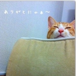 ゆっきー♂☆さんのプロフィール画像