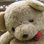 じゅじゅぴーさんのプロフィール画像