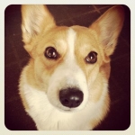 チビさくママさんのプロフィール画像