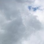 ノエルさんのプロフィール画像