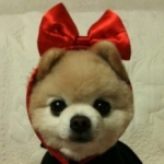 CHICAさんのプロフィール画像