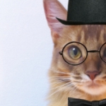 somarioさんのプロフィール画像