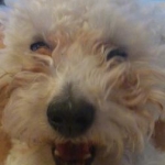 Mizuki☆さんのプロフィール画像