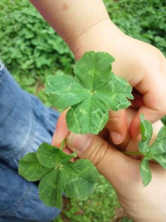 tomo*.さんのプロフィール画像