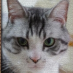 ミホッチ☆さんのプロフィール画像