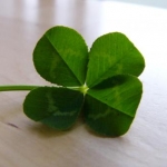 みかんもんさんのプロフィール画像