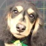 みさきポンチョさんのプロフィール画像