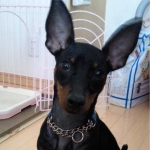 まっきーさんのプロフィール画像