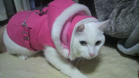 櫻井有那さんのプロフィール画像