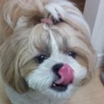 miyakoさんのプロフィール画像