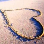 あーみさんのプロフィール画像