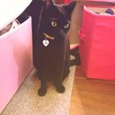 rit1217さんのプロフィール画像