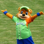 カウンター嬢さんのプロフィール画像