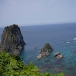 sut*e*43さんのプロフィール画像