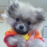 まーよめさんのプロフィール画像