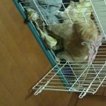 ちひさんのプロフィール画像