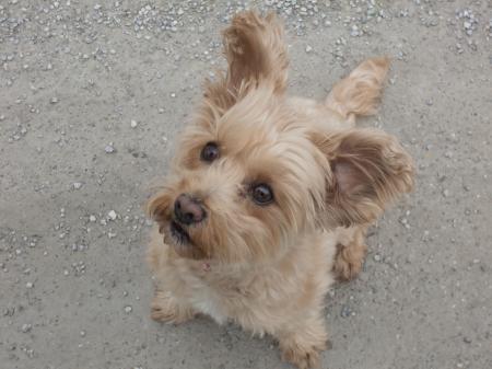 izumiさんのプロフィール画像