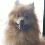 祁已さんのプロフィール画像