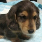 ゆ～なさんのプロフィール画像