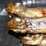 takumaniaさんのプロフィール画像