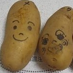 こ　り　んさんのプロフィール画像