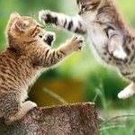 だんごさんのプロフィール画像