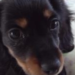 あきちょこさんのプロフィール画像